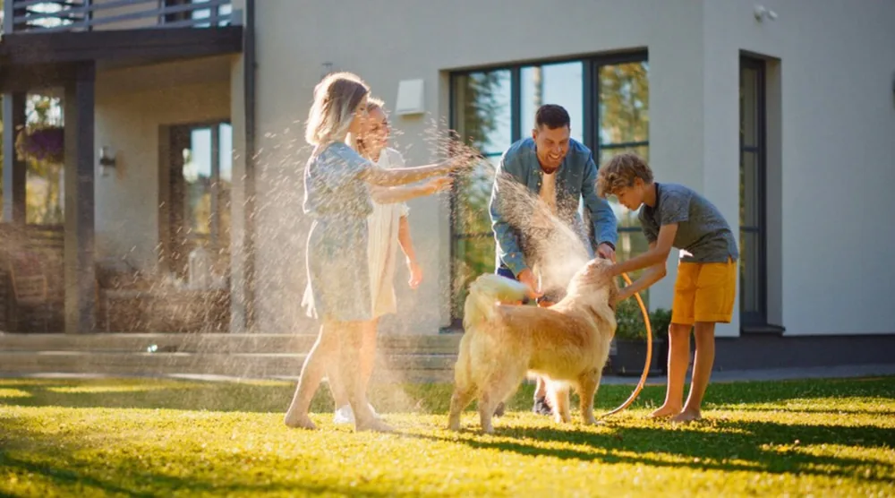 Renters — Blackstone Insurance Services, Los Angeles CA