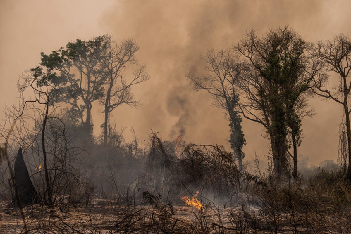California Wildfires & Your Insurance