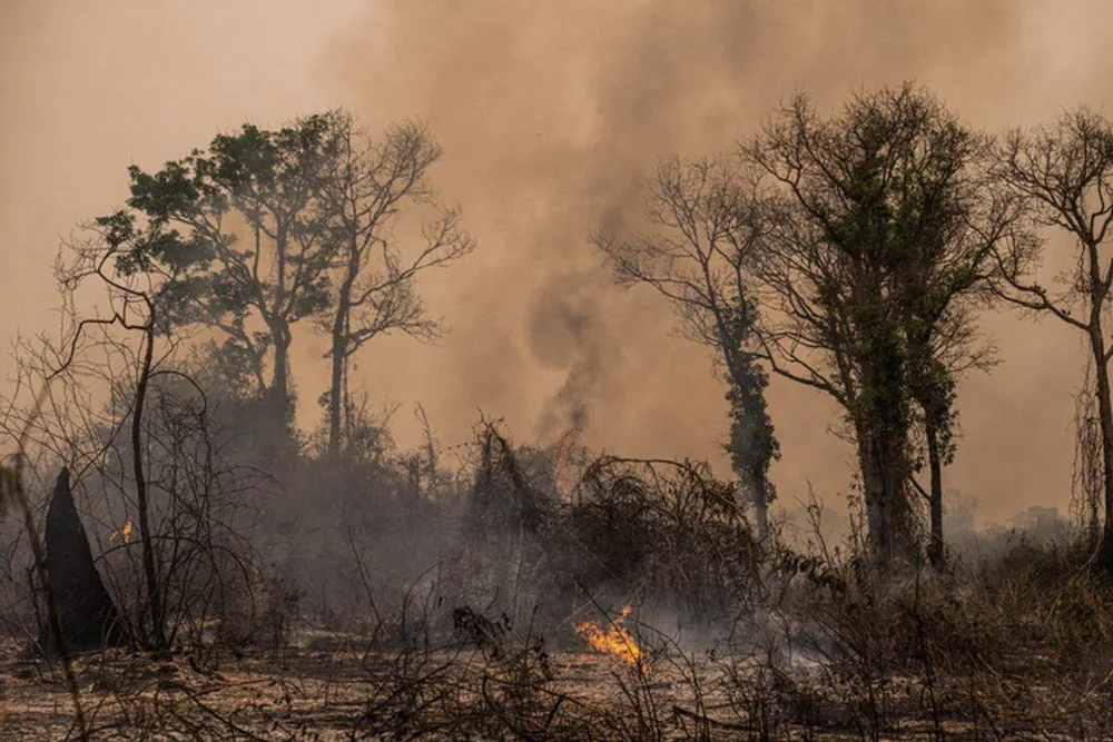 California Wildfires & Your Insurance