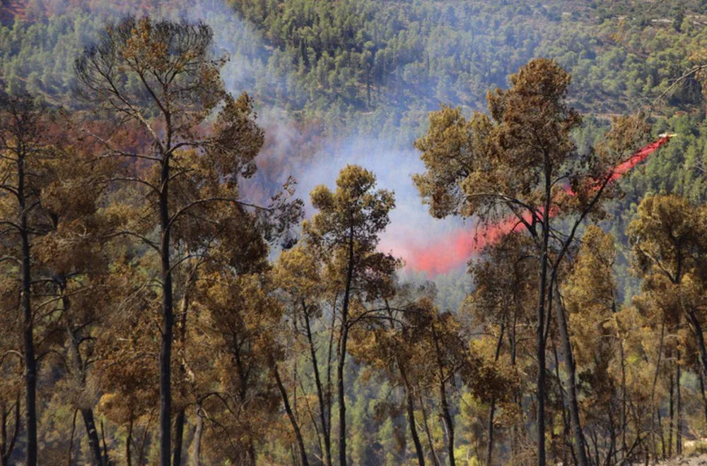 Wildfire & Brush Zone Coverage